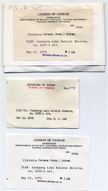 Accession Number:TAIMB004564 Collection Image, Figure 3, Total 5 Figures