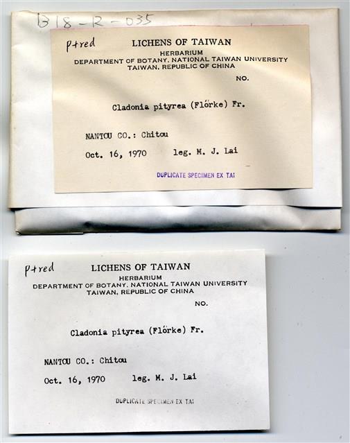 Accession Number:TAIMB004428 Collection Image, Figure 3, Total 4 Figures