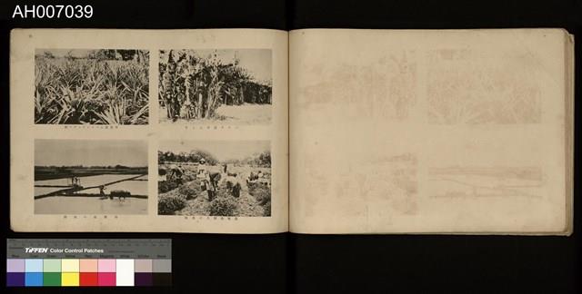 臺灣寫真帖藏品圖，第24張