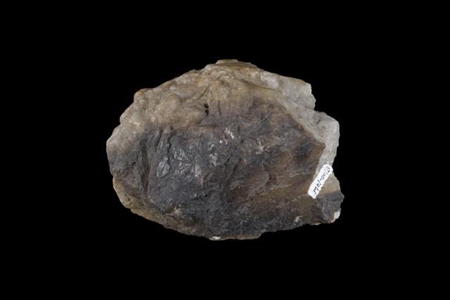 Gold Ore Collection Image, Figure 11, Total 11 Figures