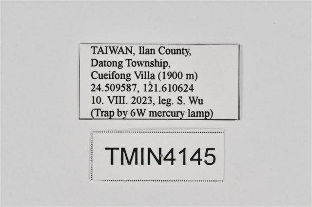 Accession Number:TMIN4145 Collection Image, Figure 2, Total 2 Figures