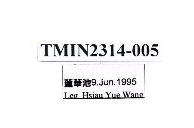 頂斑黃毒蛾藏品圖，第3張