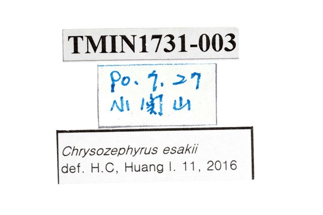 Esaki’s Hairstreak Collection Image, Figure 3, Total 3 Figures