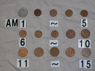 阿根廷一披索硬幣藏品圖，第1張