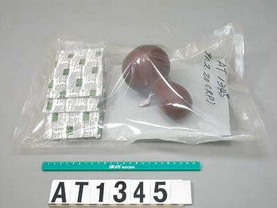 匏器藏品圖，第9張