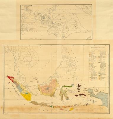 南洋人種分佈圖藏品圖，第4張