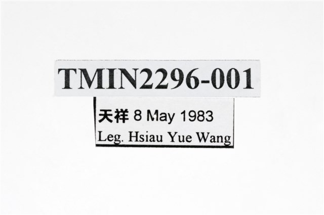 Accession Number:TMIN2296-001 Collection Image, Figure 3, Total 3 Figures