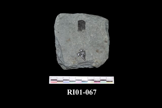 Green Rock Collection Image, Figure 3, Total 6 Figures