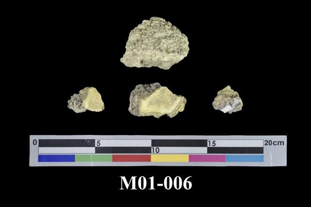 Sulphur Collection Image, Figure 1, Total 10 Figures