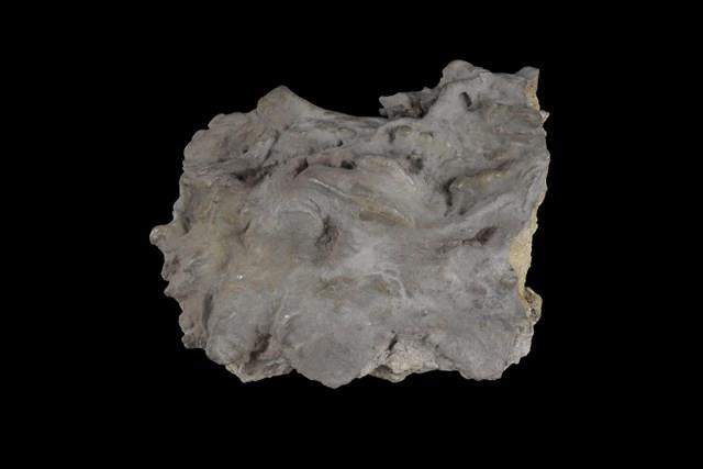 Sulphur Collection Image, Figure 8, Total 9 Figures