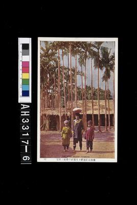 The Hous Savage Formosa Collection Image, Figure 4, Total 7 Figures