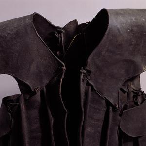 牛皮甲藏品圖，第14張