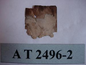 牛皮甲藏品圖，第23張