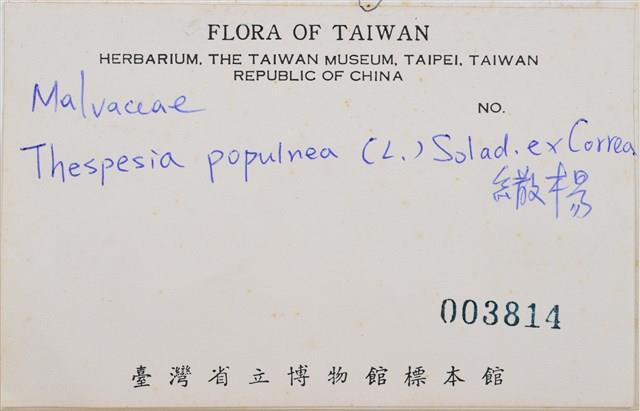 繖楊藏品圖，第2張