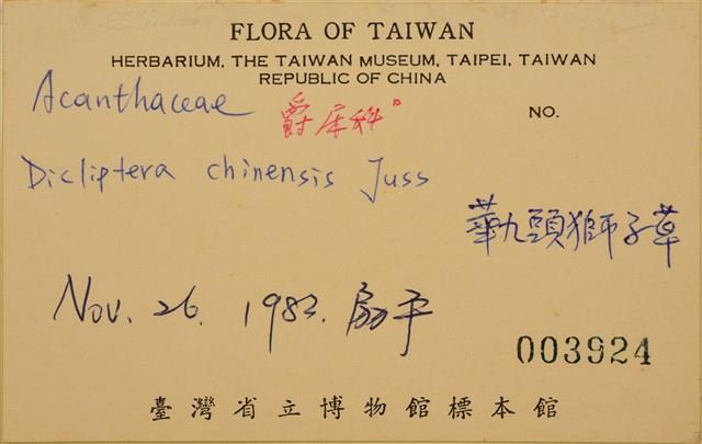 華九頭獅子草藏品圖，第2張