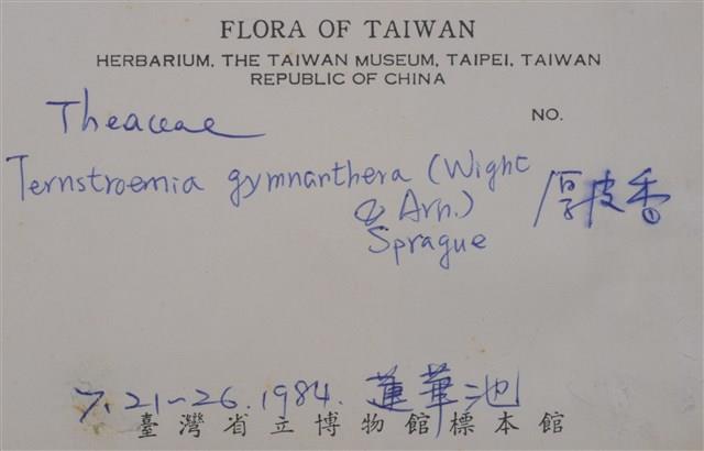 Ternstroemia gymnanthera Collection Image, Figure 2, Total 3 Figures