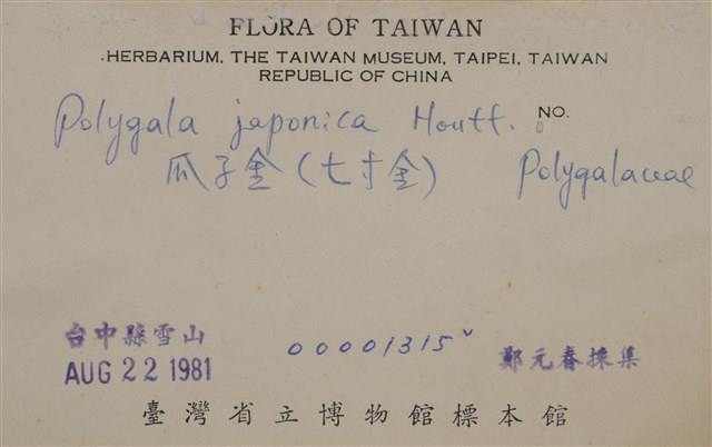 瓜子金藏品圖，第2張