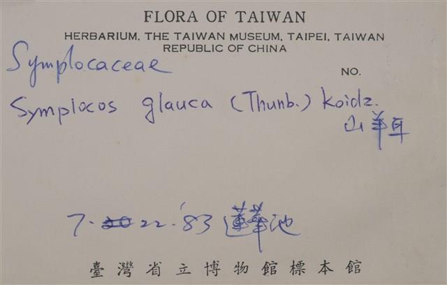 Symplocos glauca Collection Image, Figure 2, Total 3 Figures