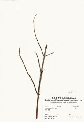 荏藏品圖，第2張