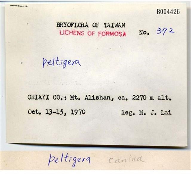 Accession Number:TAIMB004426 Collection Image, Figure 4, Total 4 Figures