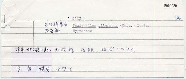 互生鱗葉苔藏品圖，第4張