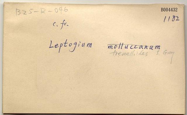 Accession Number:TAIMB004432 Collection Image, Figure 5, Total 5 Figures