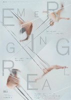 Emerging Real藏品圖，第1張