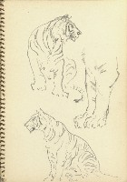 虎藏品圖，第1張