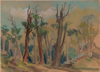 阿里山藏品圖，第1張