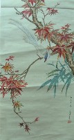 緩帶鳥藏品圖，第1張