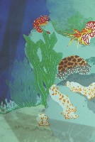 海底世界藏品圖，第1張