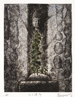 向上提升藏品圖，第1張