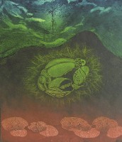 昆蟲進化史藏品圖，第1張