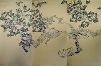 時間的容量-史前醃漬品藏品圖，第1張