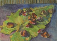 蚌藏品圖，第1張