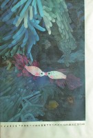 海底世界藏品圖，第1張