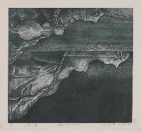 不速之客藏品圖，第1張