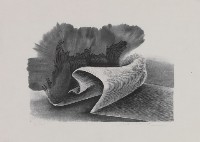 線韻藏品圖，第1張