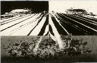 轉位'13-光-Ⅰ藏品圖，第1張