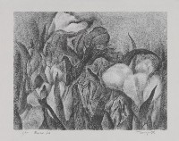 Bloom-y2藏品圖，第1張