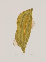 春のたね藏品圖，第1張