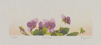 Viola-1藏品圖，第1張