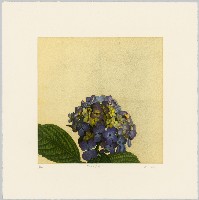 51-東屋藏品圖，第1張