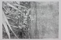 界限藏品圖，第1張