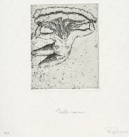 Strato-cumulus藏品圖，第1張