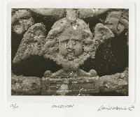 Angelicon藏品圖，第1張