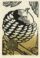 nuts藏品圖，第1張