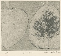 對話藏品圖，第1張