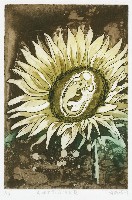 送給女兒的向日葵藏品圖，第1張