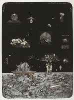 萬物生之一藏品圖，第1張